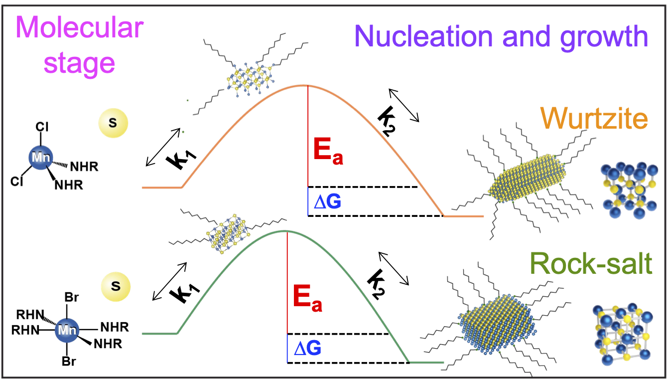 Halide-dependent synthesis pathways to wurtzite and rock-salt manganese sulfide nanocrystals